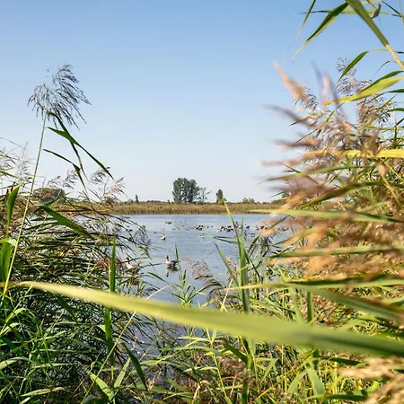 Im Teichland Linum Апартаменты Fehrbellin