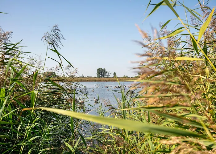 Im Teichland Linum Lägenhet Fehrbellin