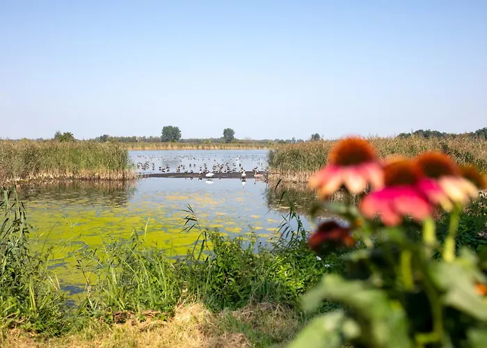 Lägenhet Im Teichland Linum
